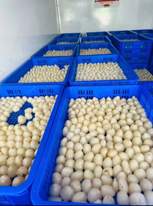 NOUVEAU 2026 Litchis Congelés Premium Fournisseur Vietnamien - Product Image 4