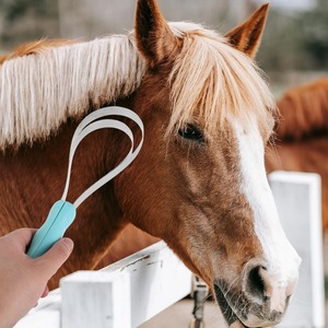 Peigne à double face en acier inoxydable pour animaux de compagnie, outil de toilettage pour chevaux, bovins et moutons, grattoir dentelé efficace pour l'élimination des poils - Product Image 6