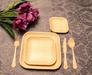 Hot Selling <b>Disposable</b> Natural 8 Inches Square Shapes Palm Leaf <b>Plates</b> for Premium Food Presentation Snacks & Dessert Pack of 25 - Product Image 1