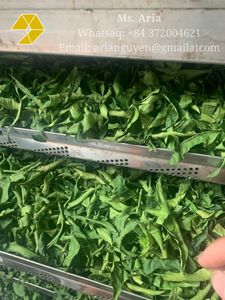 Ingrediente Natural para Cocinar: Hoja de Limón Seca de Vietnam para Sazonar Alimentos y Mejorar el Aroma - Macy - Product Image 6