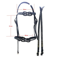 Harnais de cheval en PU, style Western, épais, avec sangle réglable, anatomic, équipement d'équitation, harnais d'hiver, sangle de gêne souple, personnalisable