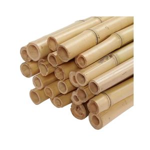 Estacas de Bambú de Alta Calidad, Precio Económico al por Mayor, Postes Rectos Resistentes y Duraderos, Suministro a Granel de Fábrica para Jardín - Product Image 1