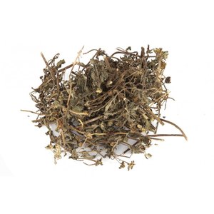 Extracto de Bacopa Monnieri de Grado Premium para Cápsulas Herbales, Tabletas y Productos de Bienestar, Disponible en Grandes Cantidades - Product Image 3