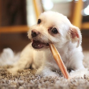 Barras de Carne para Perros, Masticables de Alta Proteína para el Cuidado Dental y la Estimulación Mental, Golosinas Duraderas, OEM, ODM, Marca Privada, Venta al Por Mayor - Product Image 6