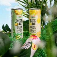 Produit phare NAWON OEM Boisson au thé Kombucha avec saveur de jus d'ananas, de citron et de pêche 250ML en canette Haute qualité Sans sucre ajouté ISO BRC
