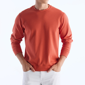 Men's Casual Cotton Sweatshirts Solid Pattern 100% Cotton Winter Season <b>Thick</b> <b>Fleece</b> with Custom Logo Embroidery Wholesale - Product Image 4