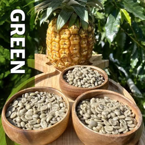 เมล็ดกาแฟโรบัสต้าเวียดนามที่เป็นมิตรต่อสิ่งแวดล้อม – รับผลิตแบบ OEM ODM เมล็ดกาแฟดิบธรรมชาติแบบไม่ผ่านการคั่วสำหรับส่งออก ความชื้น 12% - Product Image 2