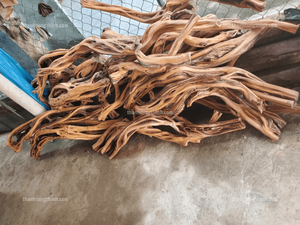 THANH TUNG THINH CO. LTD Ornement d'aquarium en bois flotté naturel, forme irrégulière, écologique et durable, origine Binh Thuan - Product Image 5