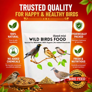 Alimentation pour oiseaux en volière et poulets, mélange de fruits et de graines biologiques, nutrition équilibrée riche en protéines, complément pour soutenir le système immunitaire - Product Image 3