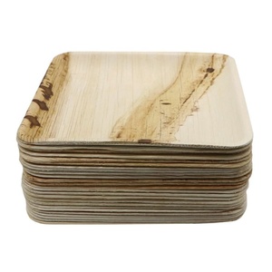 Premium <b>Disposable</b> <b>Plates</b> for Outdoor Food Events 7 Inches Square Design <b>Plates</b> for Birthdays & Celebrations Pack of 25 Pieces - Product Image 1