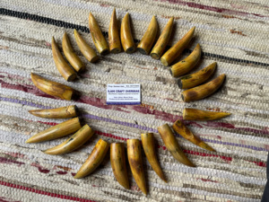 ปลายเผาขัดเขาควายธรรมชาติเป็นมิตรต่อสิ่งแวดล้อม - Product Image 2