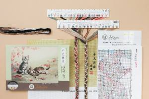 Kit de point de croix 2026-0128, motif européen KITTY WALK, tissu Aida 100% coton, design d'animaux de dessin animé écologique - Product Image 5