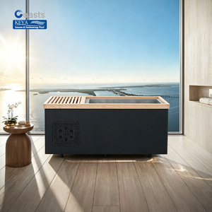 Baignoire de récupération professionnelle à immersion froide, intérieur en acier inoxydable 316, structure en cèdre rouge, sécurité ETL, compatible Wi-Fi, pour le marché canadien - Product Image 1