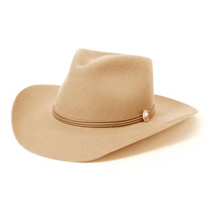 Nouveau Chapeau de Cowboy Jazz Rayé à Large Bord pour l'Automne et l'Hiver, 100% Coton, Unisexe Adulte, Style Transfrontalier - Product Image 4