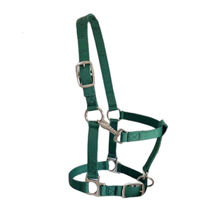 Cabestros de Nailon Ajustables y Duraderos para Caballos con Acolchado Suave y Herrajes Resistentes al Óxido, Precio Económico, Mejor Cabestro para Caballos, Precio al por Mayor - Product Image 1