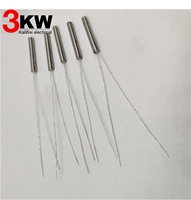 Sensor Suhu Resistor Termistor Platinum Miniatur Grosir PT100 Pt1000