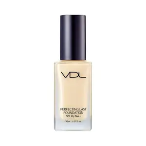 New Arrival Hot Selling Korean Skincare Product Wholesale VDL PERFECTING LAST FOUNDATION A02 by Lotte duty free