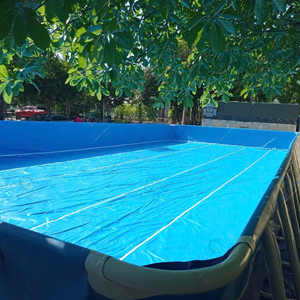 Piscina Inflable Portátil Thuy Linh de Alta Calidad de Vietnam con Garantía de 3 Años, Fácil Montaje y Componentes de PVC - Product Image 6