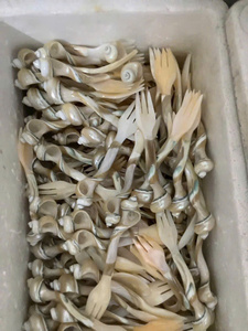 ชุดช้อนส้อมมุกเวียดนามพรีเมียม ผลิตจากเปลือกหอยธรรมชาติ สำหรับรับประทานอาหารที่บ้าน ชุดของขวัญ และขายส่ง - Product Image 6