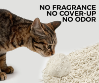 Litière pour chat en manioc végétal en gros, faible teneur en poussière, agglomération rapide, emballage personnalisé