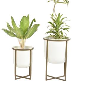 Elegantes macetas en el soporte - Product Image 3