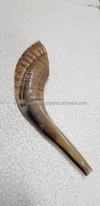 Cuernos de Oveja Shofar Crudos Religiosos Ecológicos de la Mejor Calidad, Cuernos de Carnero Pulidos para Decoración Navideña de la India al por Mayor - Product Image 5