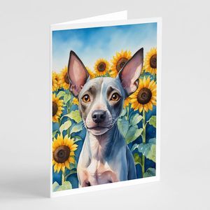 Whimsical American Hairless Terrier Sunflowers Pack 8 Tarjetas de notas A7 en blanco con sobres Tarjetas de felicitación de tamaño 5x7 - Product Image 1