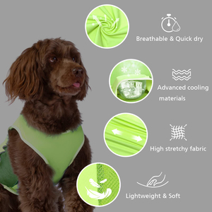 Ropa para Mascotas Hecha a Medida, Camisetas para Perros al por Mayor, Ropa para Cachorros de Algodón Suave, Chalecos Lisos para Gatos, Ropa Cómoda - Product Image 2