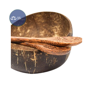 [BEST SELLER] |   Bol en coquille de noix de coco écologique, finition lisse, vente en gros, articles de vaisselle artisanaux réutilisables, Vietnam - Product Image 1