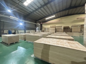 Tableros de Madera Contrachapada de Pino Decorativa de Primera Calidad, de 13 Capas, Doble Cara, 1220x2440x18mm, Impermeables, E1, Libres de Formaldehído, para Construcción y Muebles - Product Image 3