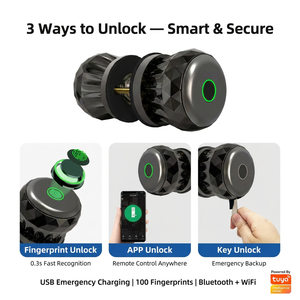 Kenop Pintu Pintar Bulat DIY yang Dapat Diganti, dengan Sidik Jari, Kunci Bola Elektronik Tanpa Kunci untuk Kamar Tidur Hotel dengan Cadangan Tipe-C - Product Image 3