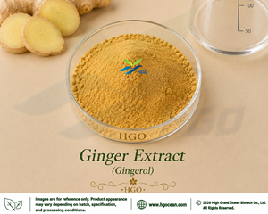 Extrait de gingembre pur naturel HGO (qualité alimentaire) soluble dans l'eau, Gingérol 1% (Extrait standardisé) – Approvisionnement direct usine - Product Image 5