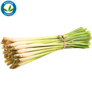 Aceite de fragancia de hierba de limón de calidad superior orgánico al por mayor a granel 100% puro natural para cosméticos, fabricación de velas, aromaterapia - Product Image 2