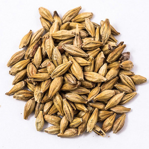 Granos de Cebada Pura de Alta Calidad para Malta |   Cebada para alimentación animal en venta al precio mayorista más bajo - Product Image 6