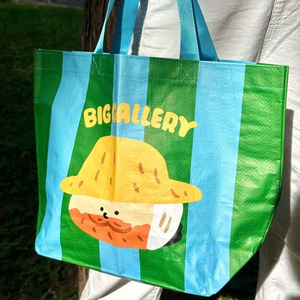 Custom Print PP Woven Shopping <b>Bag</b> <b>Medium</b> <b>Size</b> Hand Carry For Gift and Business Promotion OEM/ODM Wholesales Vietnam - Product Image 5