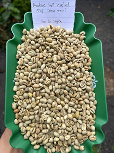 Granos de Café Verde ARÁBICA de Vietnam de Alta Calidad, Certificados, 60 kg, Maduración 95%, Totalmente Lavados, Vietnam Lam Dong Cau Dat S18 - Product Image 5