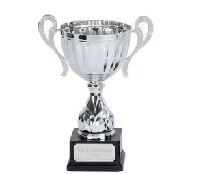 Trofeo de Metal con Grabado Disponible, Suministro Directo de Fábrica, para Premios Corporativos y Escolares, Disponible a un Precio Accesible - Product Image 2