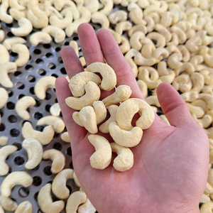 Vietnam Trusted Supplier Kaju Badam SANTIGO Cashew Nuts Cheap Bulk Cashew Kaju Nuts - Product Image 4