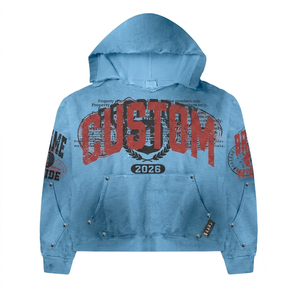 Wholesale Custom Hoodie Campus Hoodie French Terry Premium Cotton Fast Delivery Supply - Product Image 1