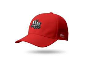 Casquette de baseball trucker personnalisée OEM ODM avec logo brodé ou imprimé, casquette snapback - Product Image 2