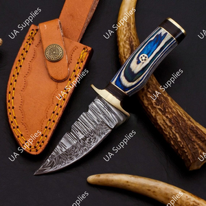 Razor Sharp Damascus Steel Fixed Drop Point EDC Knife Blue Pakka Wood Handle Brass Guard Premium OEM/ODM Skinner Camping Knife - Product Image 3