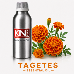 Premium-Quality Tagetes <b>Essential</b> <b>Oil</b> 100% Pure Organic Certified Tagetes Minuta Bulk Manufacturer Worldwide Exporter - Product Image 1