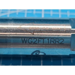 Entegris WGEFT1RR2ตัวกรองก๊าซในสายการผลิตที่ใช้เป็นชิ้นส่วนอุปกรณ์เซมิคอนดักเตอร์รุ่นเก่า - Product Image 1