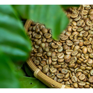 กาแฟอาราบิก้าออร์แกนิกคั่วบดจากบราซิล คุณภาพพรีเมียม ขายส่งจำนวนมาก พร้อมจัดส่ง จัดหาได้ในปริมาณมาก คุณภาพดีที่สุดสำหรับการส่งออก - Product Image 3