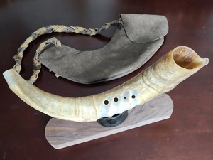 Corneta Personalizada, Instrumento Musical para Eventos Promocionales, Actividades Deportivas, Festivales, Fiestas, Celebraciones y Eventos al Aire Libre - Product Image 5