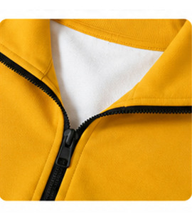 Veste universitaire personnalisée GREEK TREASURES Sigma Gamma Rho Sati avec broderie sur le devant, col montant, haute qualité - Product Image 5