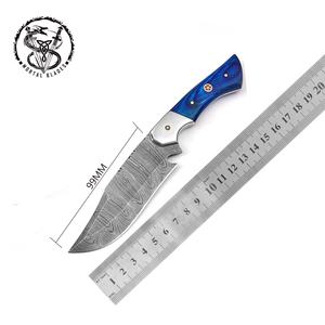 Cuchillo recto para exteriores Colorwood, cuchillos de caza portátiles con acero de Damasco, supervivencia en el desierto, Funda de cuero, mango de madera - Product Image 2