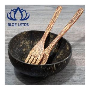 Bol en Coque de Noix de Coco Naturelle Écologique Poli, Meilleure Vente, Vaisselle Classique pour Camping, Idéal Smoothies, Açaï et Salades - Product Image 1