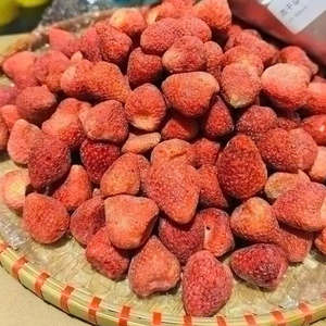 Fabricant et Fournisseur d'Extrait de Fraise Entière Lyophilisée Naturelle du Vietnam, Vente en Gros, Exportation, Haute Qualité, Service OEM - Product Image 1