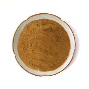 Farm Sourced Lion's Mane Powder Food Grade Naturally Grown Lions Mane Mushroom Extract Fine Mesh Bulk Supply from India - Product Image 3
